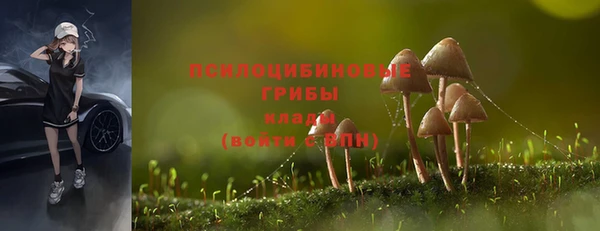 амф Киреевск