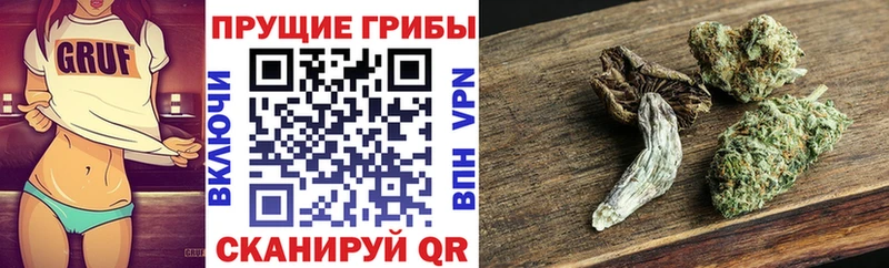 Купить закладки  Перевоз  Галлюциногенные грибы MAGIC MUSHROOMS 